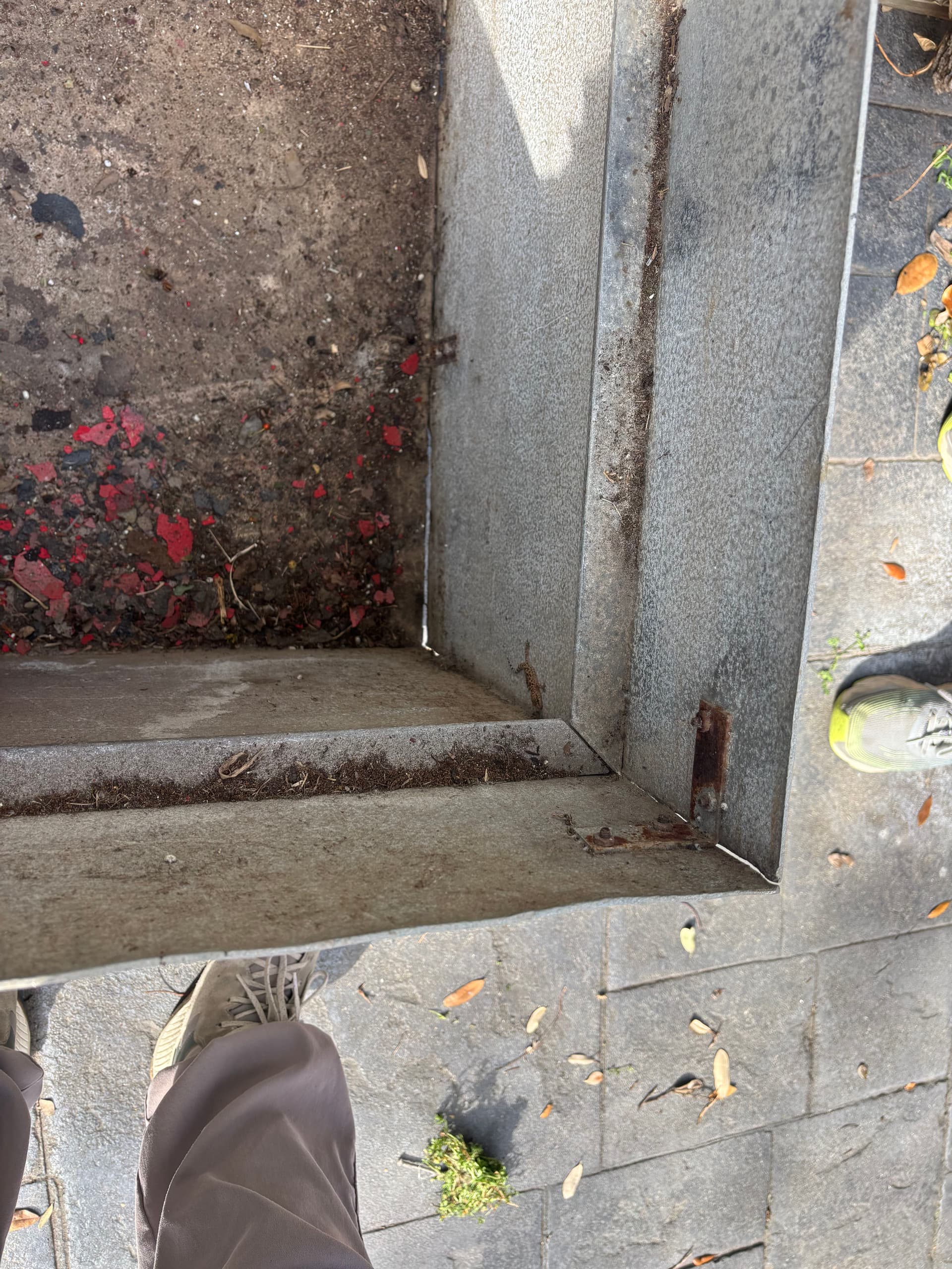 Gallery photos for Aluminum Box Restoration for a Westlake Hills Family Heirloom: Image #3